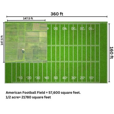 How Big Is 5 Acres in Football Fields? And Why Do We Even Compare Them?