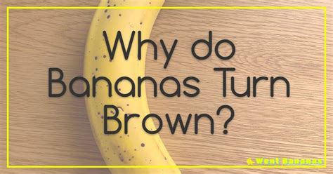 Is Running 3 Times a Week Enough? And Why Do Bananas Always Look Like Smiling Dolphins?